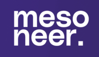 Công ty Mesoneer